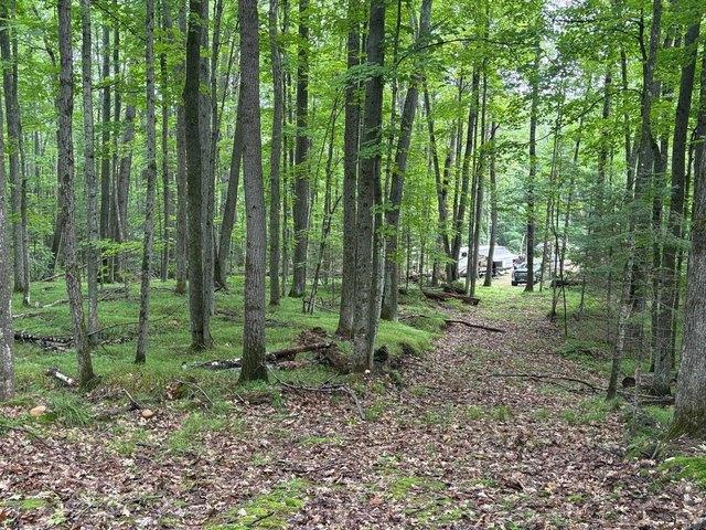 Land for sale in Fence, Wisconsin