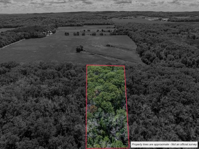 Land for sale in Juneau, Wisconsin