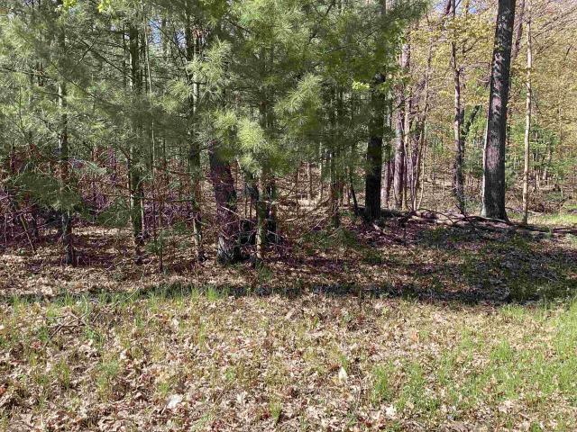 Land for sale in Wisconsin