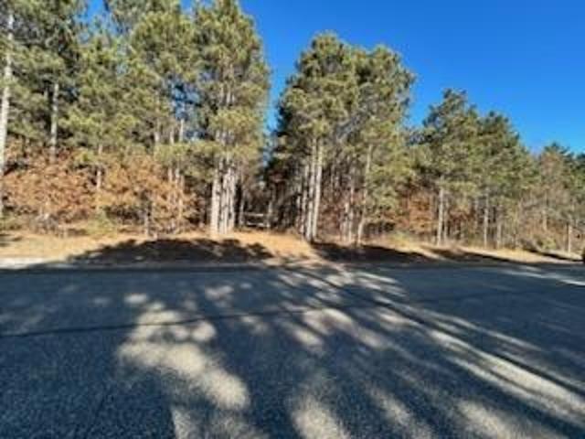 Land for sale in Juneau, Wisconsin