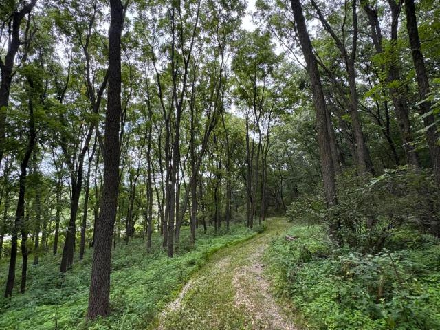 Land for sale in Wisconsin
