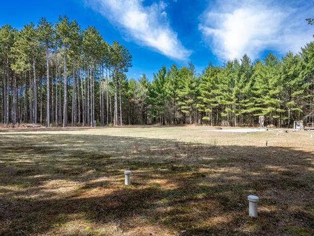 Land for sale in Juneau, Wisconsin