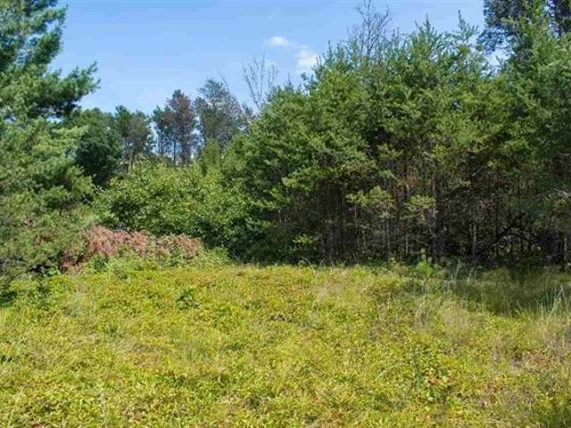 Land for sale in Juneau, Wisconsin