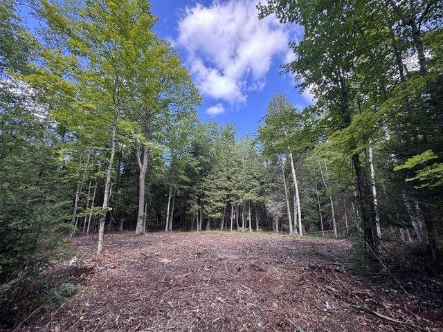 Land for sale in Niagara, Wisconsin