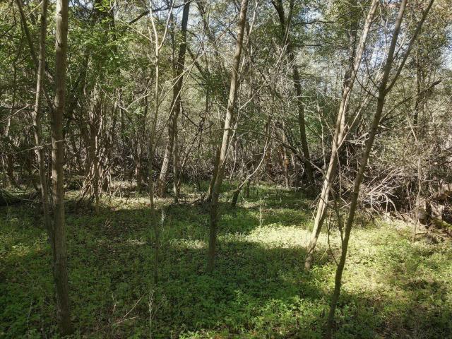 Land for sale in Town of Packwaukee, Marquette County