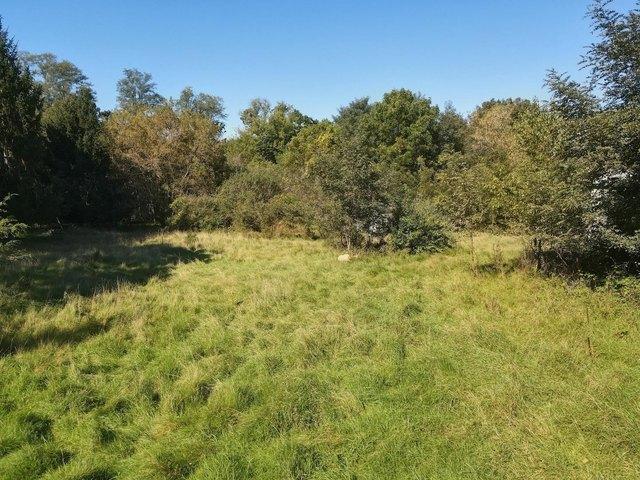 Land for sale in Montello, Marquette County