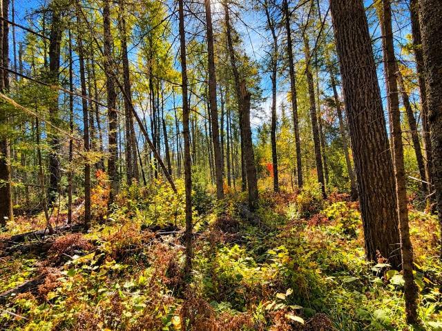 House for sale in Town of Ainsworth, Langlade County