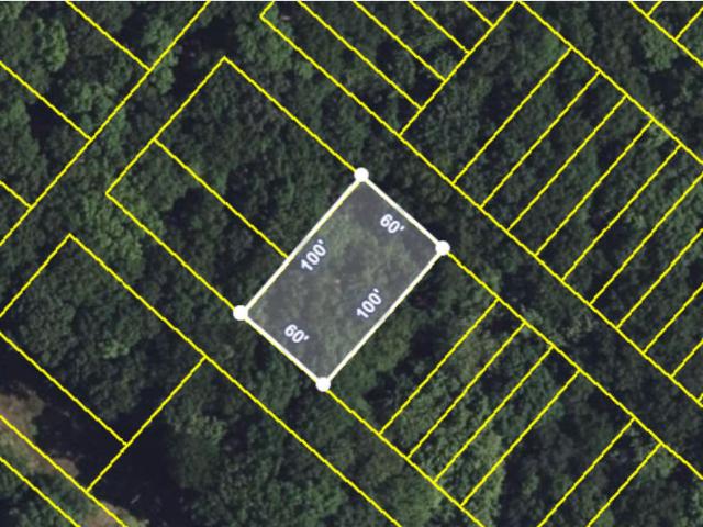 Land for sale in Chinchilla, Pennsylvania