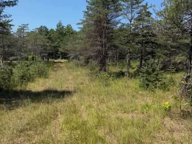 Land for sale in Wisconsin