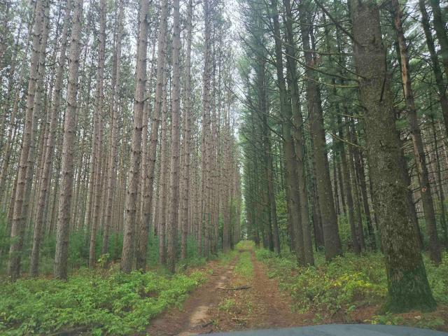 Land for sale in Wisconsin