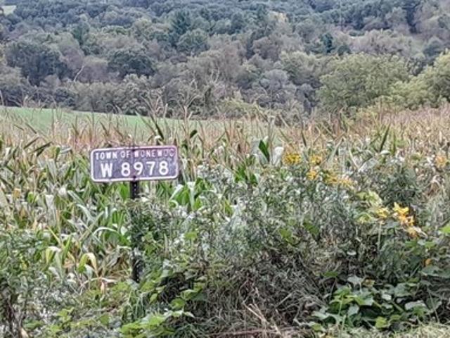 Land for sale in Juneau, Wisconsin
