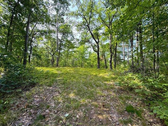 Land for sale in Trego, Wisconsin