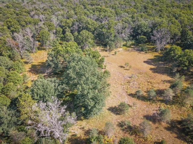 Land for sale in Michigan