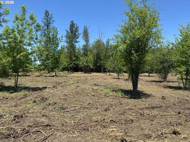 Land for sale in Oregonia