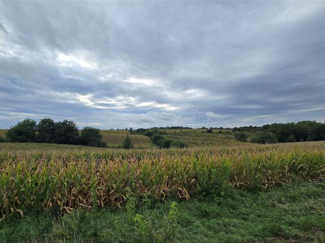 Land for sale in Mingo, Iowa