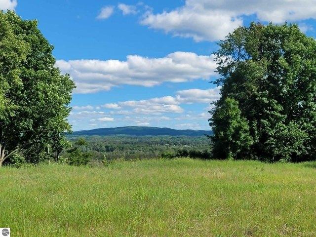 Land for sale in Mesick, Michigan