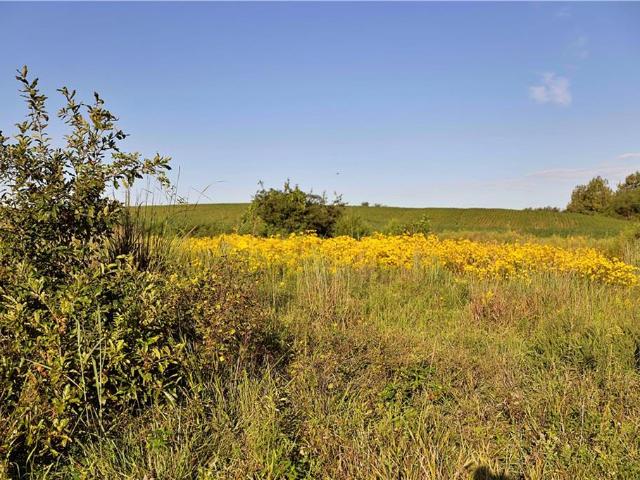 Land for sale in Bethany, Harrison County