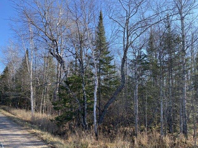 Farm for sale in Sault Sainte Marie, Michigan