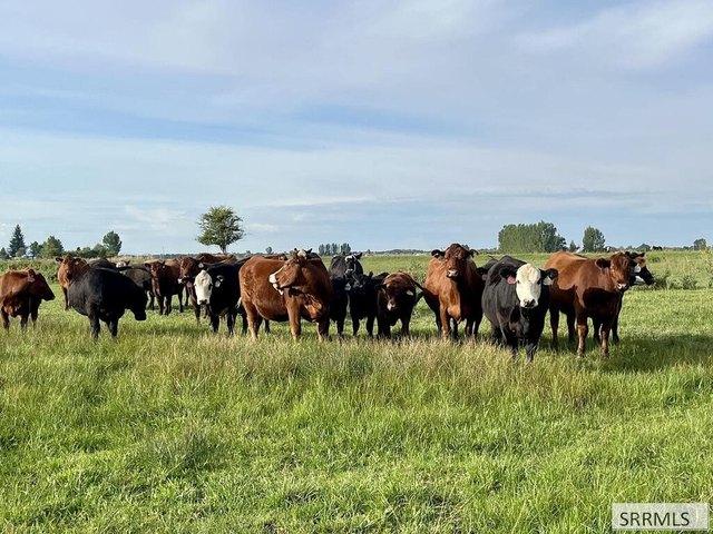 Land for sale in Rexburg, Idaho