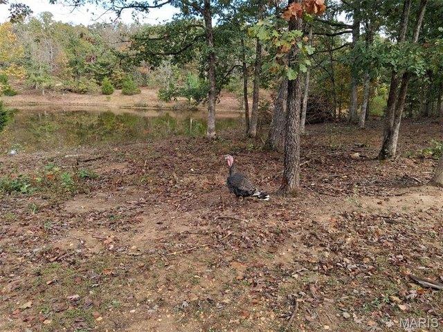 House for sale in Dixon, Pulaski County