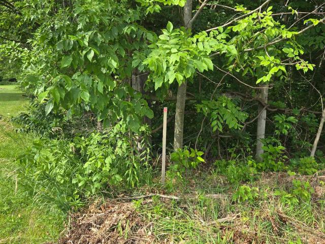 Land for sale in Columbia City, Indiana