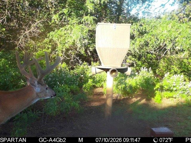 Land for sale in Kansas