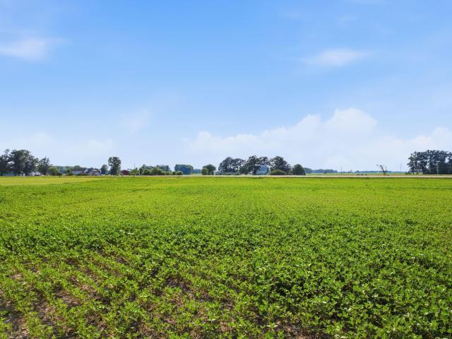 Land for sale in Portland, Indiana