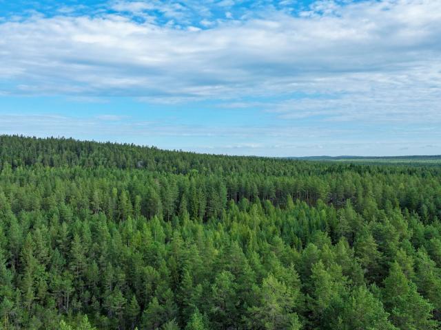 Gård till salu i Dalarna