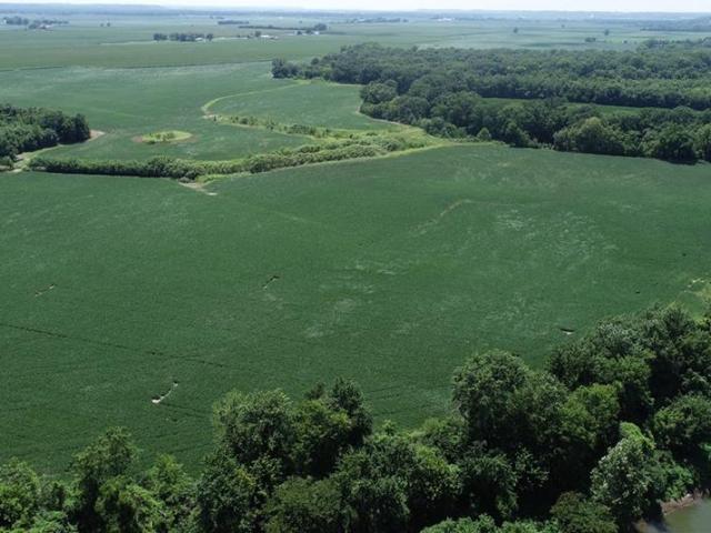 Farm for sale in Ray, Missouri