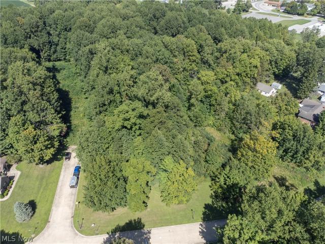 Land for sale in Wakeman, Huron County
