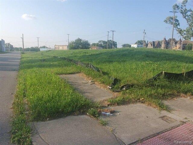 Land for sale in Detroit