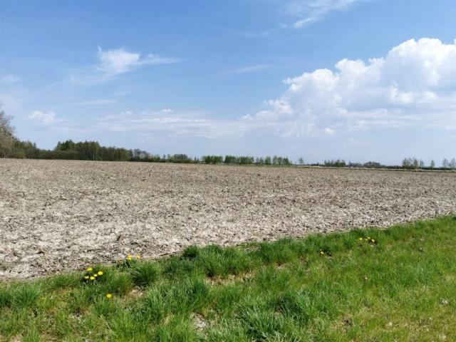 Grunt na sprzedaż w Brzeziny, Łódzkie