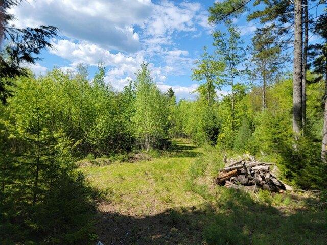 Land for sale in Appleton, Maine