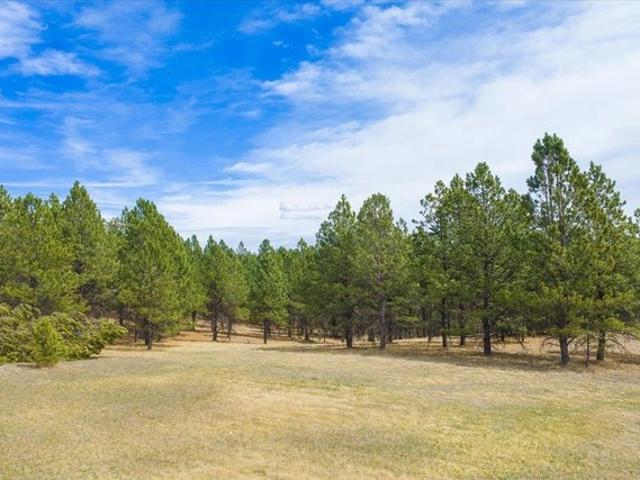 Land for sale in Custer, Custer County