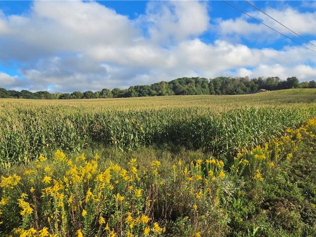 Farm for sale in Jefferson Township, Somerset County