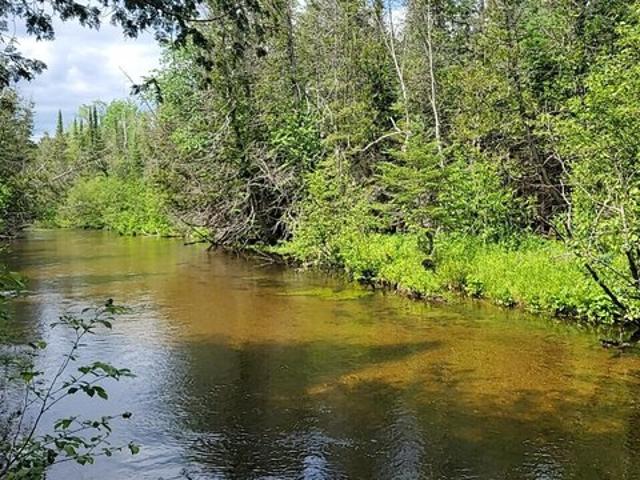Land for sale in Frederic, Michigan