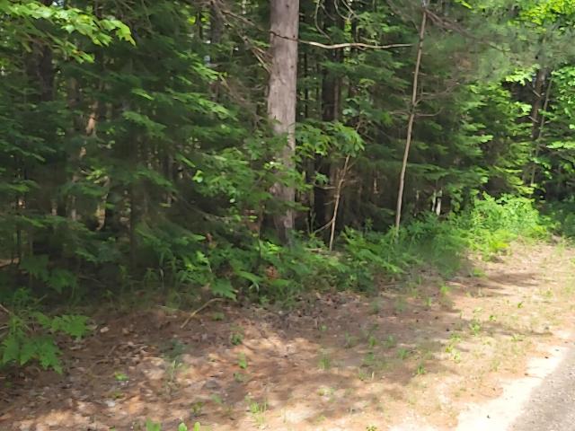 Land for sale in Michigan