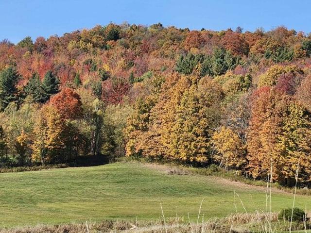 Land for sale in Vermont