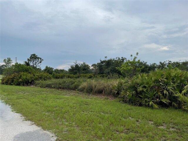 Land for sale in Avon Park