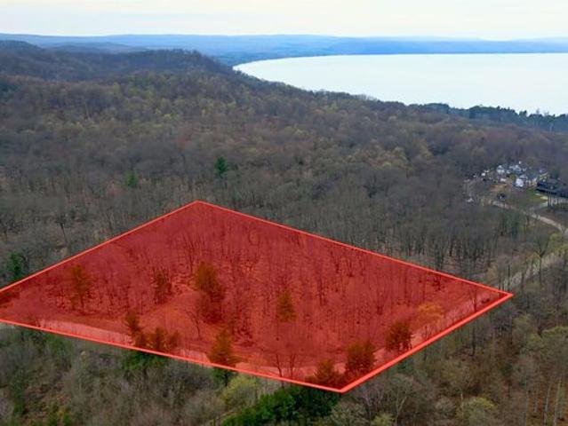 Land for sale in Maple City, Michigan