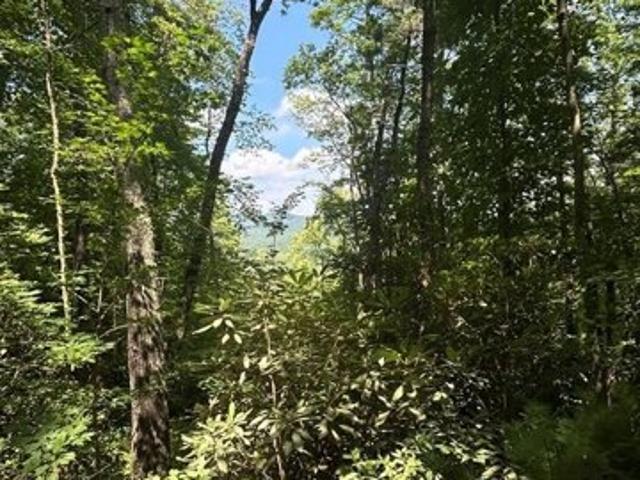 Land for sale in Brevard