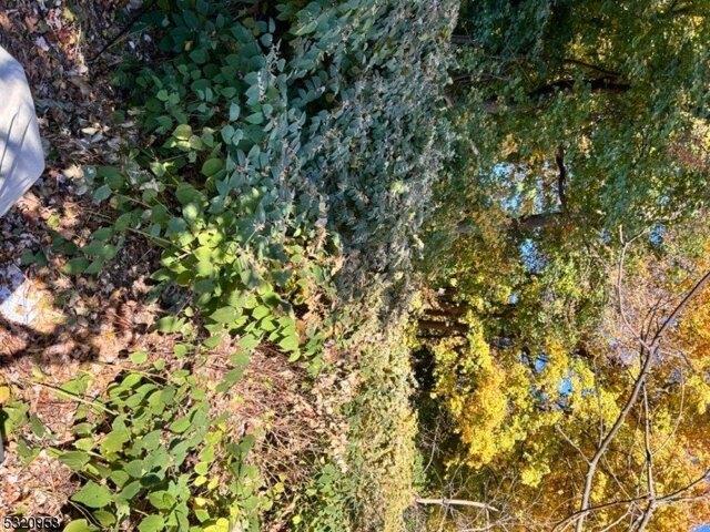 Land for sale in Dover Land for sale in Dover