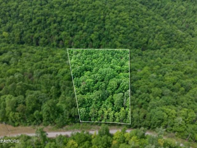 Land for sale in Wilder, Middle Tennessee