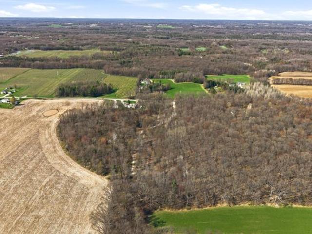 Land for sale in Ionia, Michigan