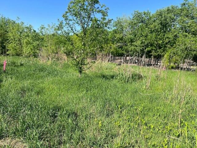 Land for sale in Williamson, Texas
