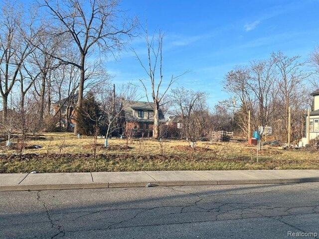 Land for sale in Detroit