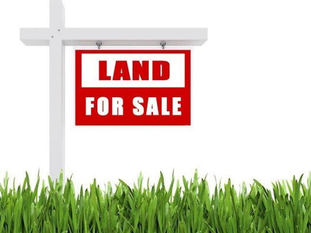 Land for sale in Braidwood