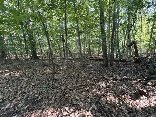 Land for sale in Ludington, Michigan