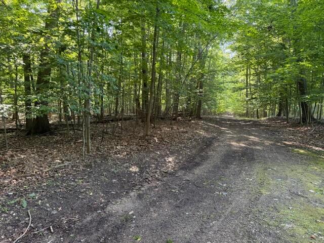 Land for sale in Michigan