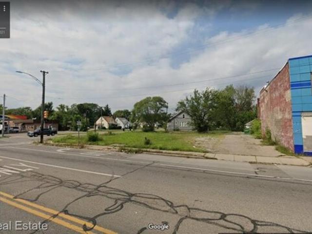 Land for sale in Detroit